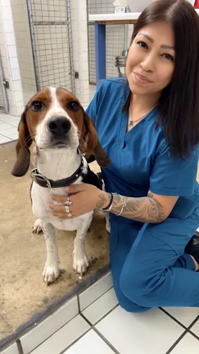 Ellison Drive Animal Hospital 12