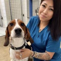 Ellison Drive Animal Hospital ico