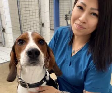 Ellison Drive Animal Hospital