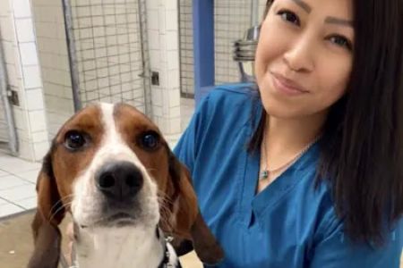 Ellison Drive Animal Hospital