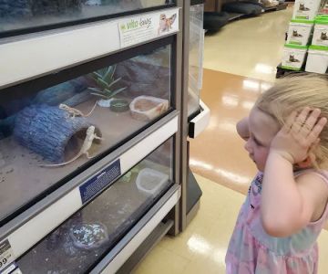 Petco