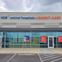 VCA Animal Hospitals Urgent Care - Northwest San Antonio ico