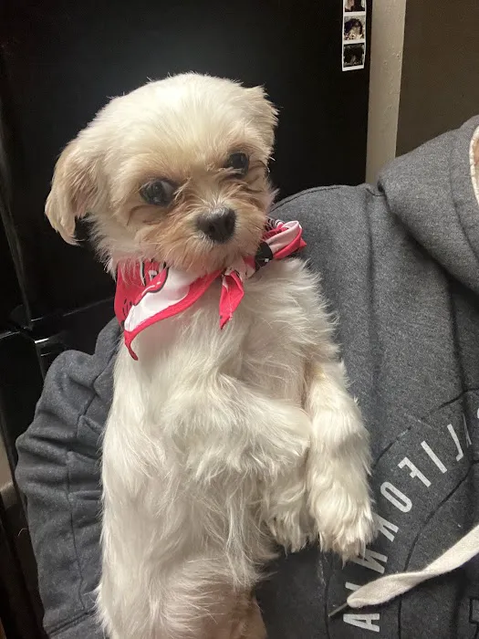 VCA Animal Hospitals Urgent Care - Northwest San Antonio 12