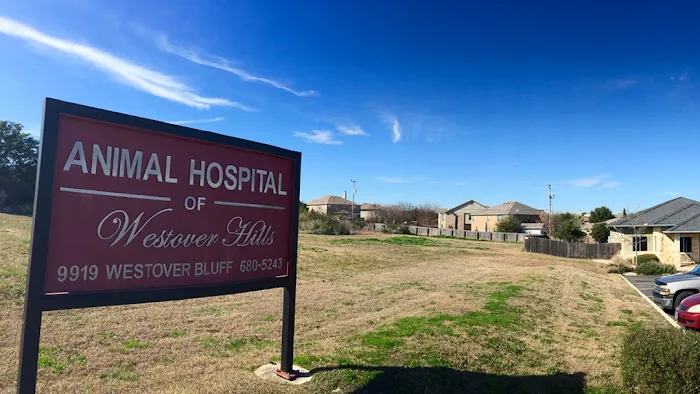 Animal Hospital of Westover Hills 12