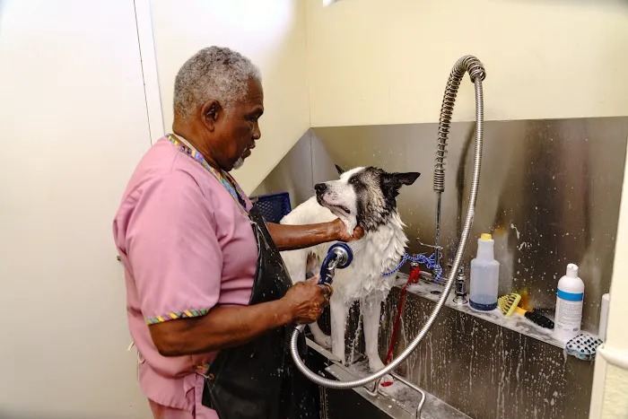 Animal Hospital of Westover Hills 12