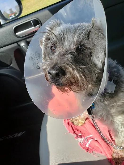 Vanguard Veterinary Clinic 12