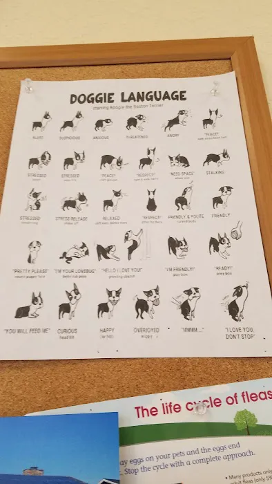 Vanguard Veterinary Clinic 12