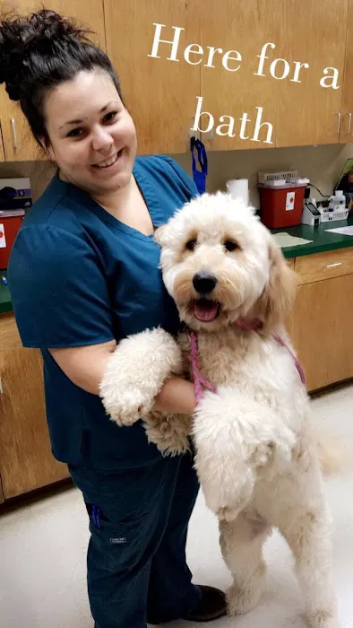 Potranco Veterinary Clinic 12