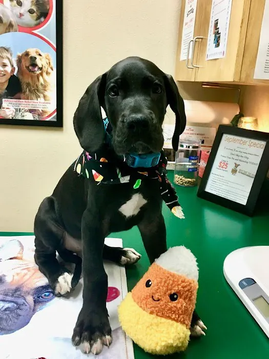 Potranco Veterinary Clinic 12