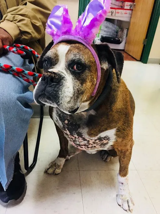 Potranco Veterinary Clinic 12