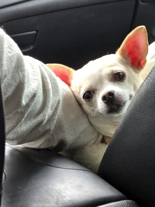 Banfield Pet Hospital 12