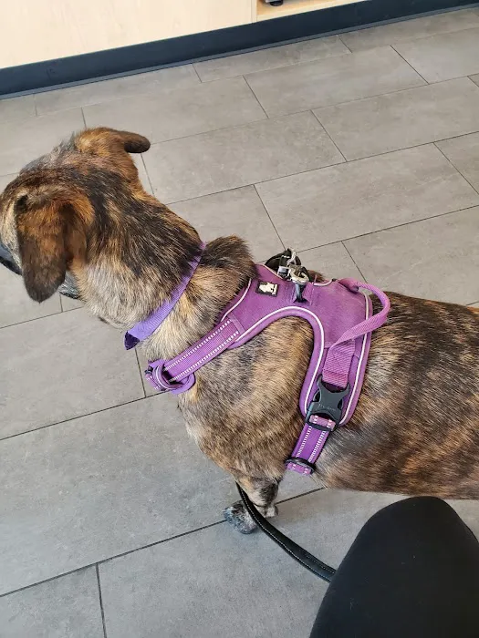 Banfield Pet Hospital 12