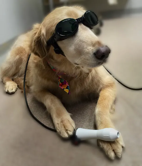 Stone Oak Veterinary Clinic 12