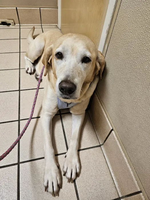 Stone Oak Veterinary Clinic 12