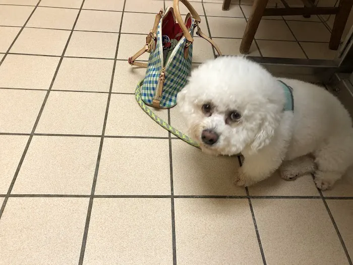 Stone Oak Veterinary Clinic 12