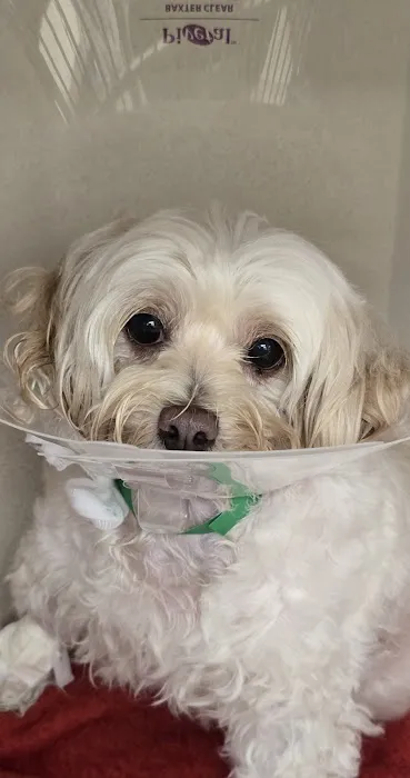 BluePearl Pet Hospital Stone Oak 12