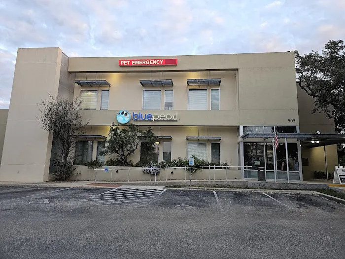BluePearl Pet Hospital Stone Oak 12