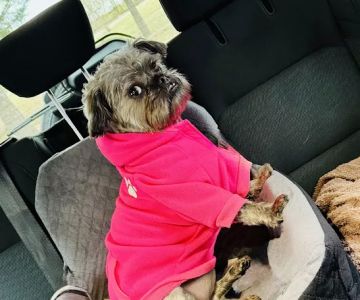 BluePearl Pet Hospital Stone Oak