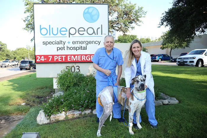 BluePearl Pet Hospital Stone Oak 12