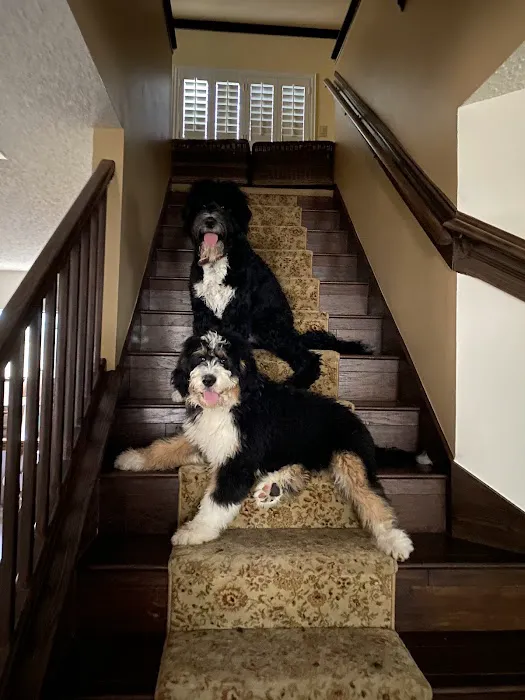 Guilbeau Station Animal Hospital 12