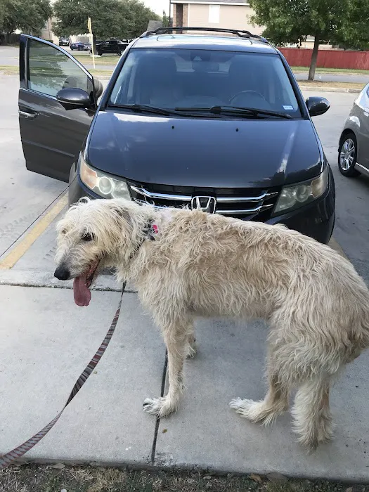 Town & Country Veterinary Hospital 12