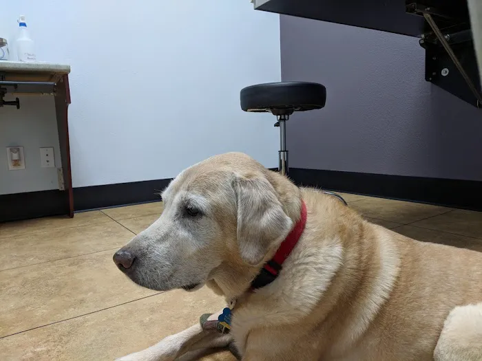Vanguard Veterinary Clinic Redland 12