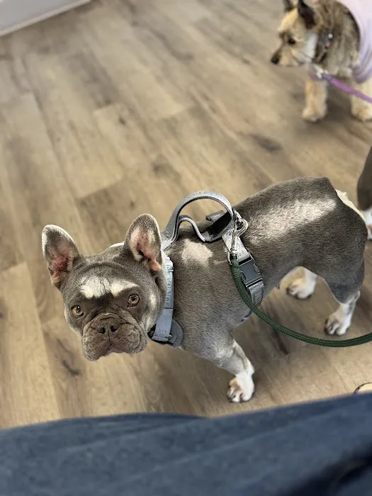 Vanguard Veterinary Clinic Redland 12