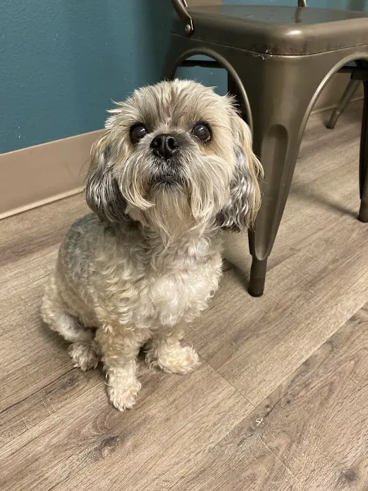 Vanguard Veterinary Clinic Redland 12