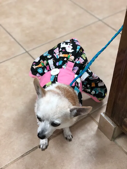 Northern Oaks Bird & Animal Hospital 12