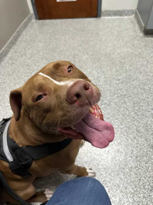 Community Pet Health Center 12