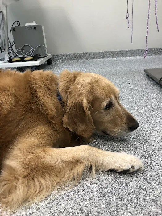 Community Pet Health Center 12