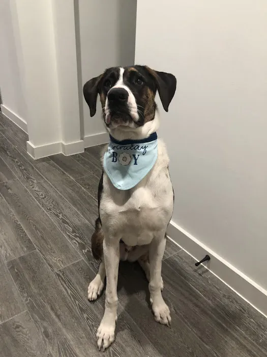 Encino Park Veterinary Clinic 12