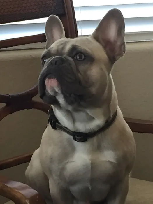 Encino Park Veterinary Clinic 12