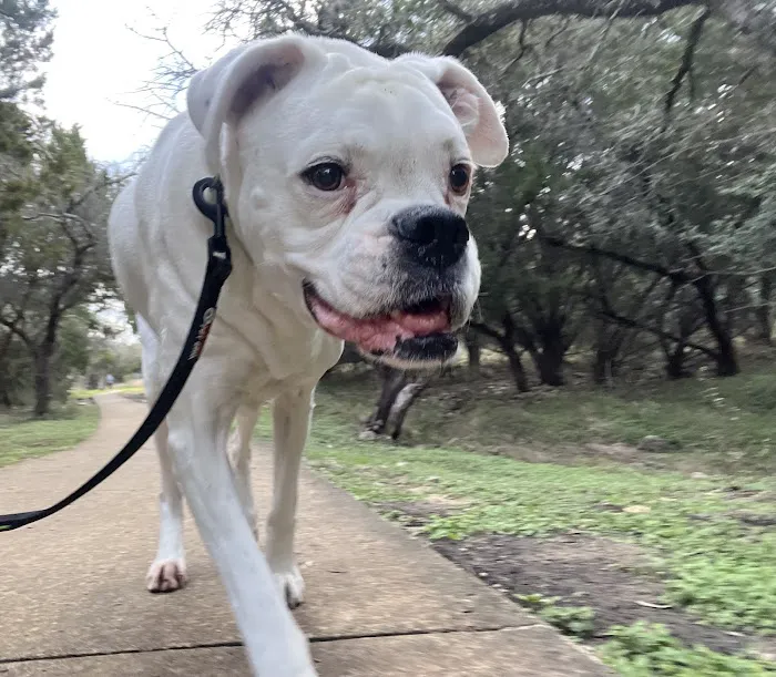 Encino Park Veterinary Clinic 12