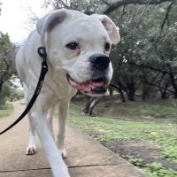 Encino Park Veterinary Clinic ico