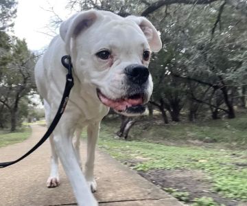 Encino Park Veterinary Clinic