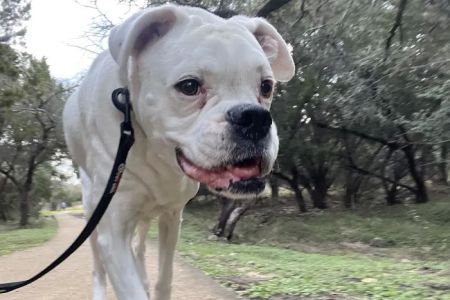 Encino Park Veterinary Clinic