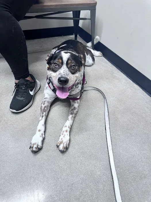 Encino Park Veterinary Clinic 12