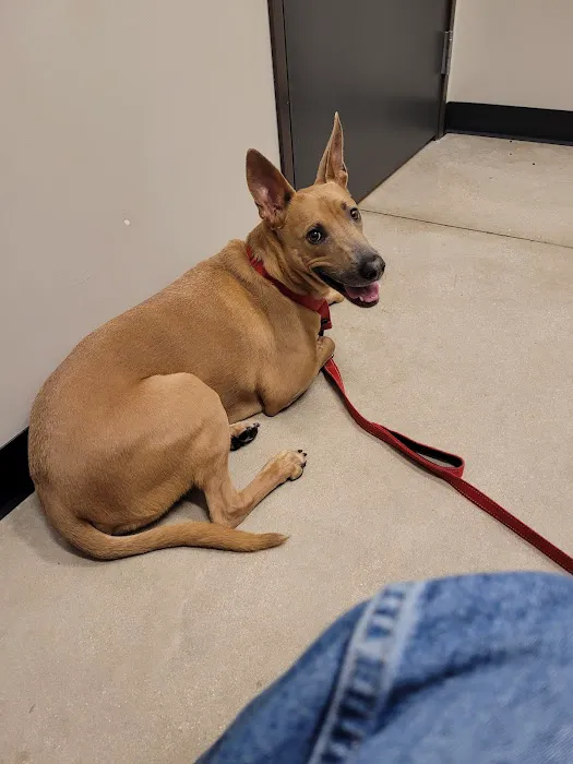 Encino Park Veterinary Clinic 12