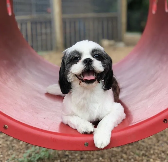 Encino Park Veterinary Clinic 12