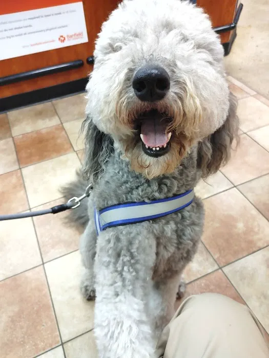 Banfield Pet Hospital 4