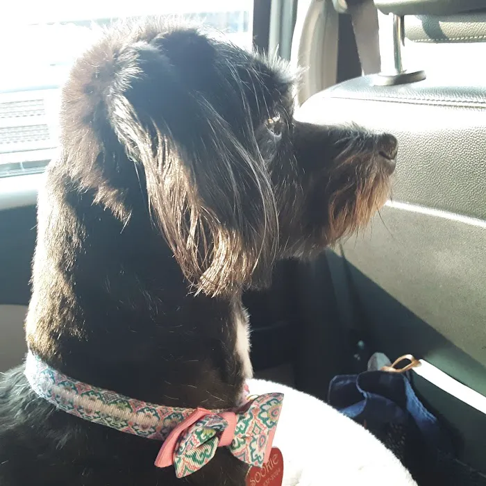 Banfield Pet Hospital 1