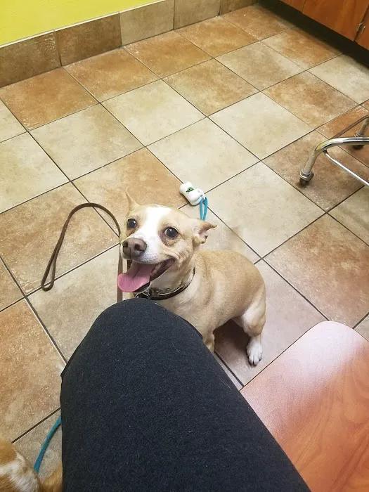 Banfield Pet Hospital 8