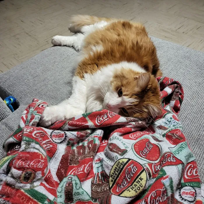 Banfield Pet Hospital 10