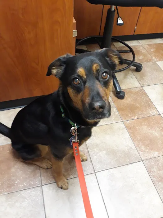 Banfield Pet Hospital 7