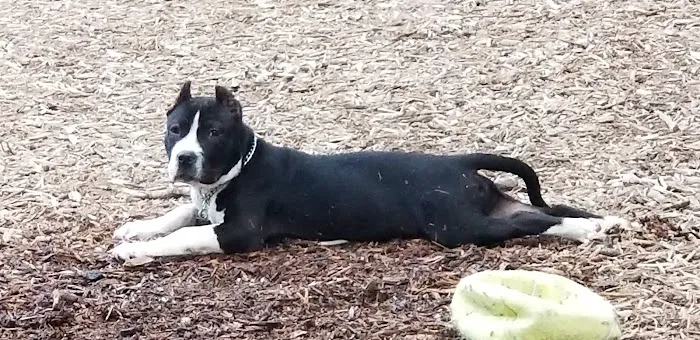 Banfield Pet Hospital 6