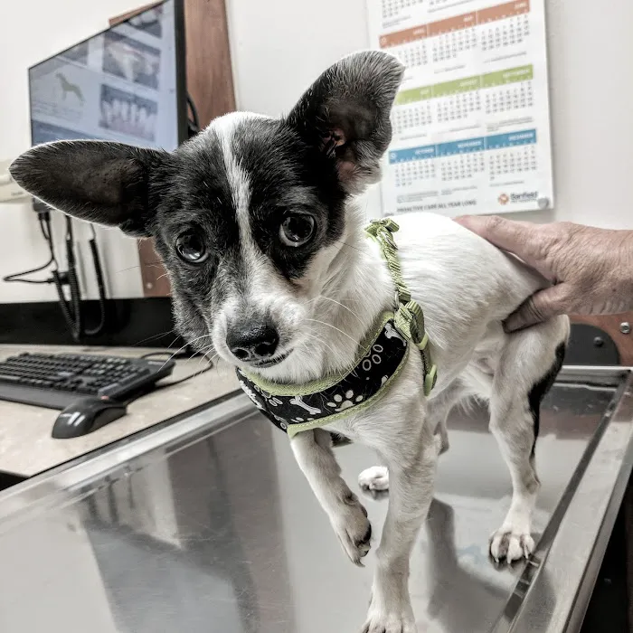 Banfield Pet Hospital 2