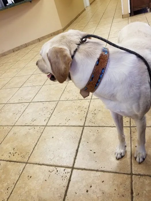 O'Connor Road Animal Hospital 12
