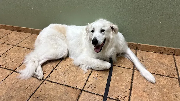 O'Connor Road Animal Hospital 12