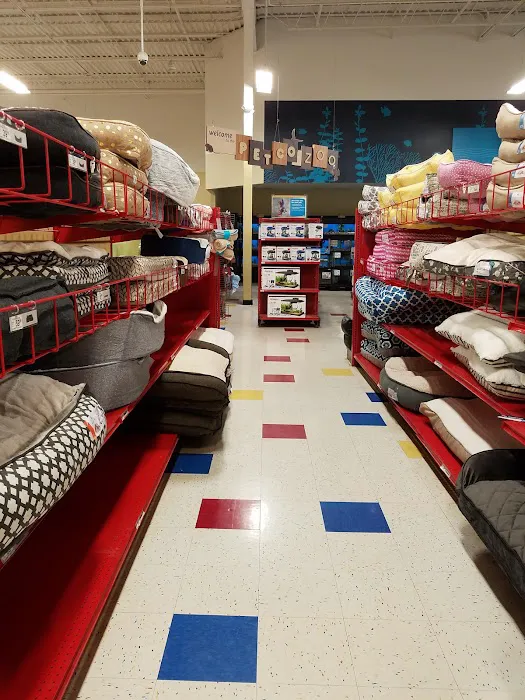 Petco 12